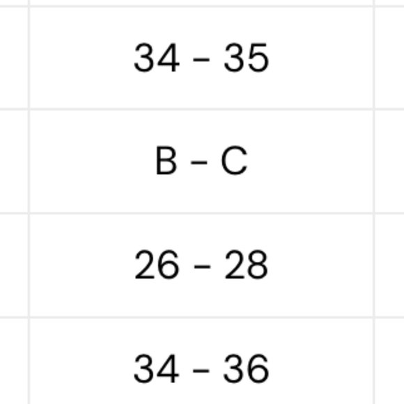 BNWT Blackbough bikini - Picture 4 of 4